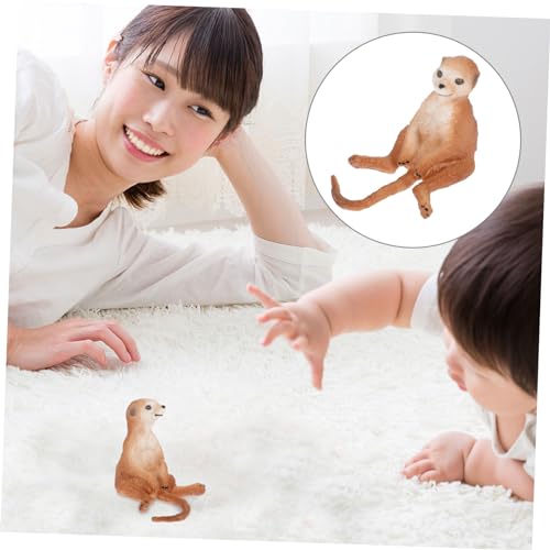 GARIOUANS Realistisches Erdmännchen Modell aus Langlebigem Kunststoff Detailgetreue Simulation als Tierfigur für Kinderzimmer Dekoration und Pädagogisches Lernspielzeug GARIOUANS Realistisches Erdmännchen Modell aus Langlebigem Kunststoff Detailgetreue Simulation als Tierfigur für Kinderzimmer Dekoration und Pädagogisches Lernspielzeug von GARIOUANS