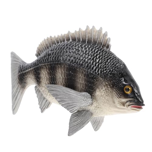 GARIOUANS Realistisches Fischmodell aus Kunststoff Dekoratives Meerestier Pädagogische Tierfigur Kreativität und Vorstellungskraft Geeignet als Wohnaccessoire und Lernspielzeug von GARIOUANS