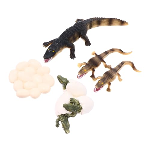 GARIOUANS Realistisches Krokodil Lebenszyklus Umweltfreundlich Stabiles Kunststoffmodell Pädagogisches Kinderspielzeug zum Lernen und Dekorieren für Klassenzimmer und Zuhause GARIOUANS Realistisches Krokodil Lebenszyklus Umweltfreundlich Stabiles Kunststoffmodell Pädagogisches Kinderspielzeug zum Lernen und Dekorieren für Klassenzimmer und Zuhause von GARIOUANS