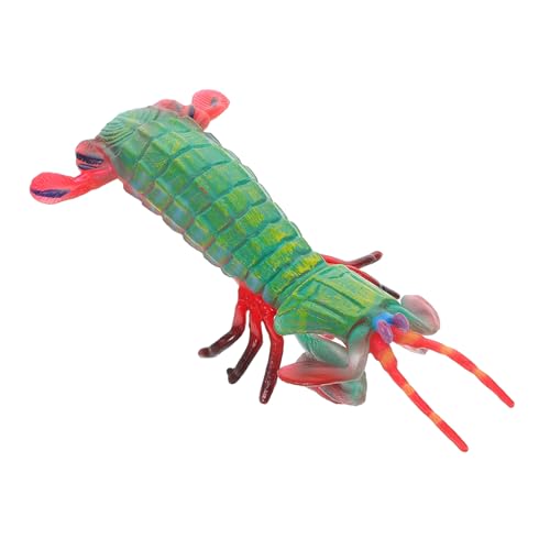 GARIOUANS Realistisches Mantis Shrimp Modell Simulation Meerestier Figur Lernspielzeug Kognitive Entwicklung Dekoration Pädagogisch Tier Nachbildung GARIOUANS Realistisches Mantis Shrimp Modell Simulation Meerestier Figur Lernspielzeug Kognitive Entwicklung Dekoration Pädagogisch Tier Nachbildung von GARIOUANS