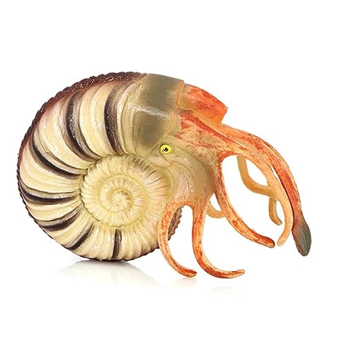 GARIOUANS Realistisches Nautilus Modell Meeresbewohner Simulation Lernspielzeug Pädagogisch Langlebig Farbenfroh Umweltbewusstsein Fördern Aquarium Dekoration von GARIOUANS