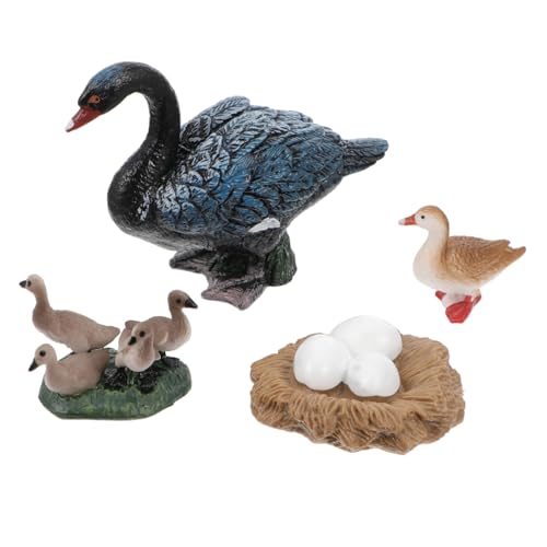 GARIOUANS Realistisches Schwarzer Modell Teiliges aus Hochwertigem Kunststoff Detailgetreue Wachstumszyklus Figuren Pädagogisches Dekorationsspielzeug für Vielseitig als und Wohnaccessoire GARIOUANS Realistisches Schwarzer Modell Teiliges aus Hochwertigem Kunststoff Detailgetreue Wachstumszyklus Figuren Pädagogisches Dekorationsspielzeug für Vielseitig als und Wohnaccessoire von GARIOUANS