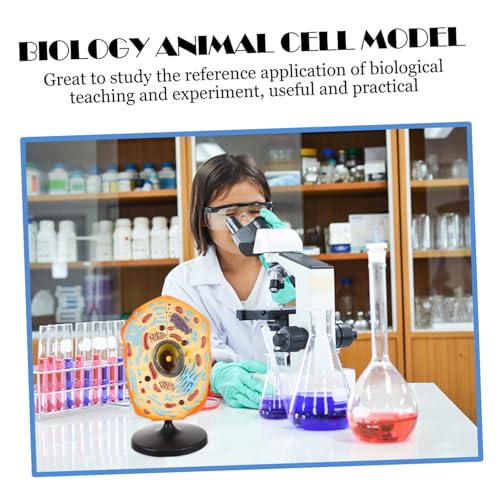 GARIOUANS Realistisches Tierzellenmodell für Biologieunterricht Anschauliches Lehrmodell zur Zellanatomie für Schule Forschung und Laboranzeige GARIOUANS Realistisches Tierzellenmodell für Biologieunterricht Anschauliches Lehrmodell zur Zellanatomie für Schule Forschung und Laboranzeige von GARIOUANS