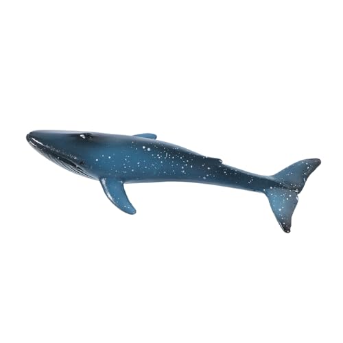 GARIOUANS Realistisches Walspielzeug Modell aus Kognitives Lernspielzeug für Aquarien und Geschenkidee für Freunde und Familie von GARIOUANS