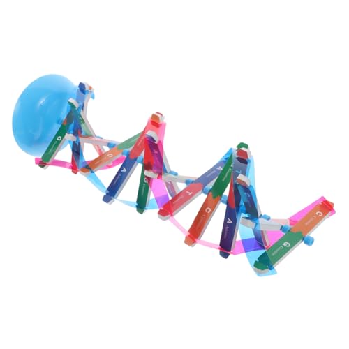 GARIOUANS Selbstmontierbares DNA doppelhelix Modell Bausatz Lernwerkzeug für Schüler Interaktives Erbbiologie Lehrmittel Biologie Unterricht Hilfsmittel Wissenschaftliches Modell von GARIOUANS