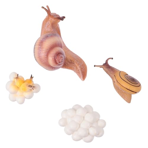 GARIOUANS Simulierte Tierfiguren Set aus Geruchlosem Kunststoff Pädagogisches Gartenspielzeug mit Lebenszyklus Modellen Multipurpose Dekoration und Lernspielzeug für Ab Jahren GARIOUANS Simulierte Tierfiguren Set aus Geruchlosem Kunststoff Pädagogisches Gartenspielzeug mit Lebenszyklus Modellen Multipurpose Dekoration und Lernspielzeug für Ab Jahren von GARIOUANS