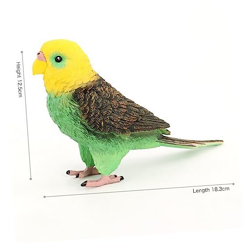 GARIOUANS Simuliertes Papagei Modell Realistische Kunststoff Vogel Dekoration für Lernspielzeug Haustierdekoration Balkon Garten Wohnzimmer von GARIOUANS