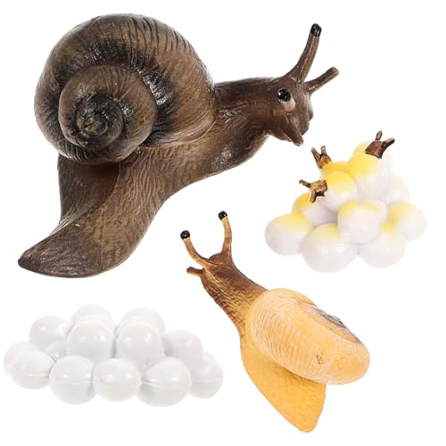 GARIOUANS Teiliges Schneckenwachstum Modell Realistische Lebenszyklus Spielzeuge für Pädagogische Naturerfahrung und Biologische Lernhilfe GARIOUANS Teiliges Schneckenwachstum Modell Realistische Lebenszyklus Spielzeuge für Pädagogische Naturerfahrung und Biologische Lernhilfe von GARIOUANS