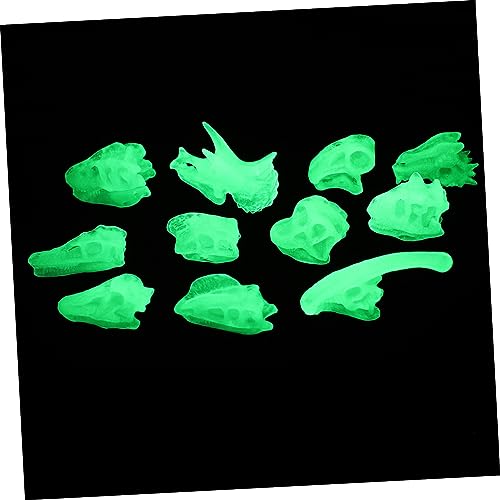 GARVALON Dinosaurierfossil Spielzeug Satz Mit Leuchtenden Dinosaurierschädeln Und Knochen Für Kinder Zum Spielen Bei Tageslicht Oder Dunkelheit von GARVALON