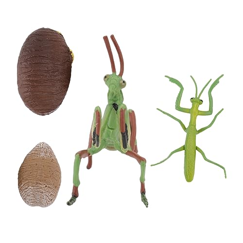 GARVALON 1 Set Modell Ornament Pädagogisches Spielzeug Für Kind (sortierte Farbe) von GARVALON
