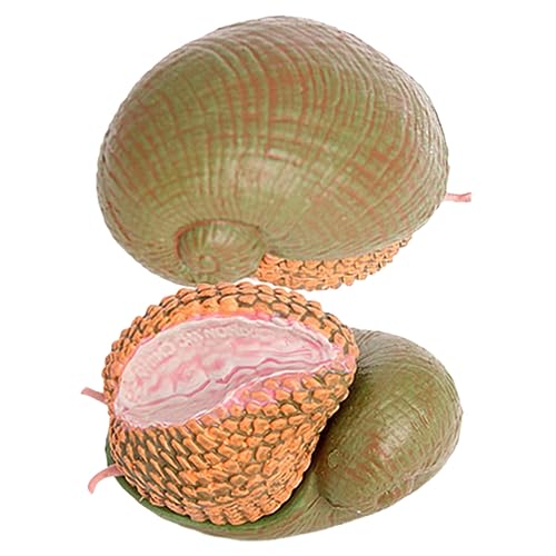 GARVALON 2St Schneckenmodell Tierfiguren für kinderspielzeug Toys kindergeburtstags mitgebsel Tiermodell Tiere Miniaturen kleine Schneckenfiguren gefälschte Tierfiguren Plastik von GARVALON