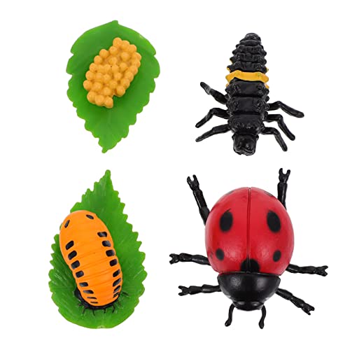 GARVALON Marienkäfer Lebenszyklus Wachstumszyklus Figuren Kit Kinder Pädagogisches Spielzeug Sicheres Plastikspielzeug GARVALON Marienkäfer Lebenszyklus Wachstumszyklus Figuren Kit Kinder Pädagogisches Spielzeug Sicheres Plastikspielzeug von GARVALON