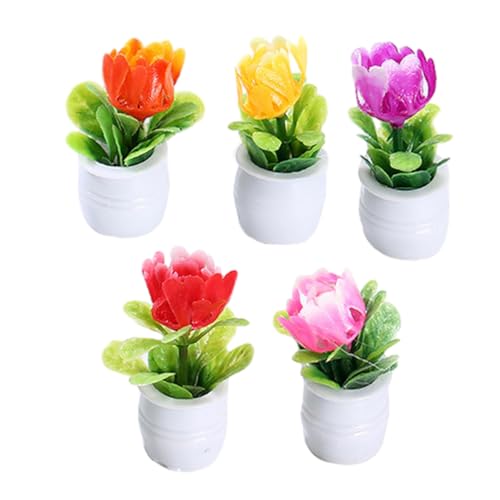 GARVALON 5 Stück Künstliche Topfpflanze, Mini Kunstpflanze, Bonsai, Miniatur, Künstliche Pflanze, Künstliche Pflanze, Bonsai, Puppenhaus, Künstliche Blume, Bonsai, Heim, Mini, GARVALON 5 Stück Künstliche Topfpflanze, Mini Kunstpflanze, Bonsai, Miniatur, Künstliche Pflanze, Künstliche Pflanze, Bonsai, Puppenhaus, Künstliche Blume, Bonsai, Heim, Mini, von GARVALON