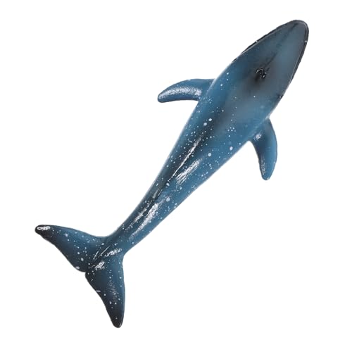 GARVALON Spielzeug Blauwal-Modell Aus Strapazierfähigen Materialien Realistisches Kognitives Meerestiermodell Für Kinder Dekoration Für Aquarium von GARVALON