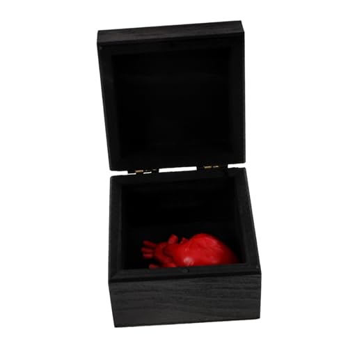 GARVALON Geschenkbox, Künstliche Herzen, Dekoration, Simulation Menschlicher Organe, Menschliche Organe, Halloween Requisiten, Künstliche Herzen, Künstliche Dekoration, Künstliche Herzen von GARVALON