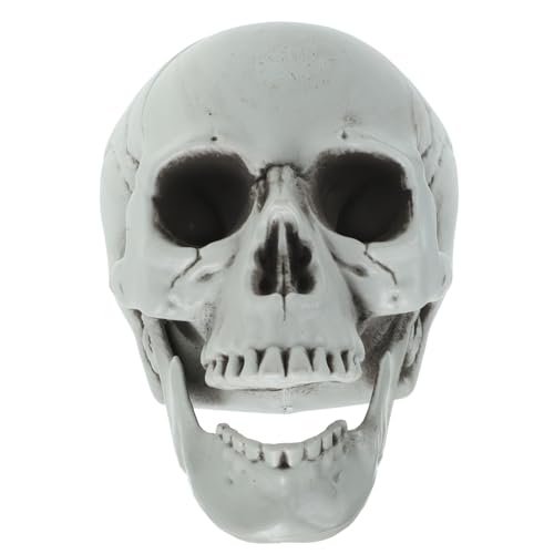 GARVALON Ornamente Aus Plastik Für Halloween Partydekoration Und Geisterhaus-Requisiten von GARVALON