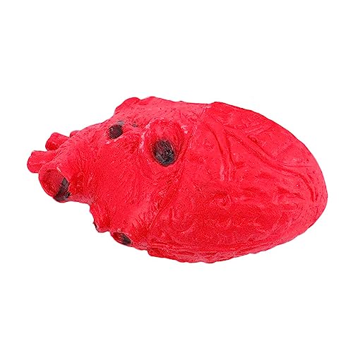 GARVALON Halloween Deko Leuchtend Halloween Fake Herz Requisit Gruselige Deko Für Partys Haunted Houses Und Halloween Feiern Realistisches Kunstherz Für Schaurige Stimmung Und Schockierende Effekte GARVALON Halloween Deko Leuchtend Halloween Fake Herz Requisit Gruselige Deko Für Partys Haunted Houses Und Halloween Feiern Realistisches Kunstherz Für Schaurige Stimmung Und Schockierende Effekte von GARVALON