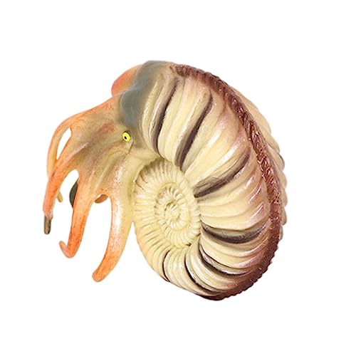GARVALON Lifelike Nautilus Modell Realistische Meeresbewohner Dekoration Aquarium Ornamente für Zuhause Garten Balkon GARVALON Lifelike Nautilus Modell Realistische Meeresbewohner Dekoration Aquarium Ornamente für Zuhause Garten Balkon von GARVALON