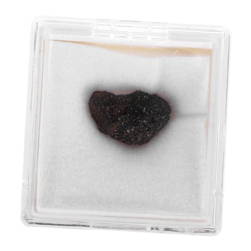 GARVALON Meteoritenexemplar für Sammler Unregelmäßiger Meteorit mit Einzigartigem Design für Bildung und Dekoration Wissenschaftliche Mineralien Sammlung für Enthusiasten von GARVALON