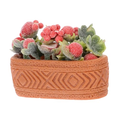 GARVALON Mini Topfgrünpflanzen, Miniatur Blumentopf, Puppenhaus Bonsai, Mini Topfblume Für Puppenhaus, Künstlicher Blumentopf, Mini Topfblume, Modell, Puppenhaus, Topfpflanze, Mini GARVALON Mini Topfgrünpflanzen, Miniatur Blumentopf, Puppenhaus Bonsai, Mini Topfblume Für Puppenhaus, Künstlicher Blumentopf, Mini Topfblume, Modell, Puppenhaus, Topfpflanze, Mini von GARVALON