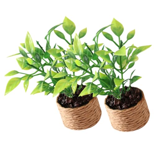 GARVALON Dekopflanzen Pflanzen Künstliche Topfpflanzen Für Puppenhaus Deko Garten Feengarten Home Decor Blumen Für Kreative Wohnraumgestaltung Pflanzen GARVALON Dekopflanzen Pflanzen Künstliche Topfpflanzen Für Puppenhaus Deko Garten Feengarten Home Decor Blumen Für Kreative Wohnraumgestaltung Pflanzen von GARVALON