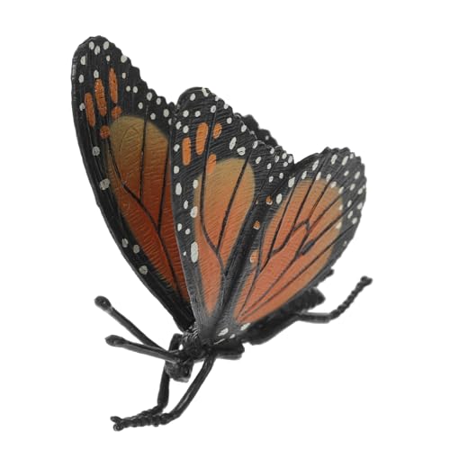 GARVALON Schmetterling Kognitives Spielzeug Simulation Schmetterlingsmodell Kleine Schmetterlingsdekoration Gefälschtes Schmetterlingsspielzeug Künstliches Schmetterlingsspielzeug Desktop GARVALON Schmetterling Kognitives Spielzeug Simulation Schmetterlingsmodell Kleine Schmetterlingsdekoration Gefälschtes Schmetterlingsspielzeug Künstliches Schmetterlingsspielzeug Desktop von GARVALON