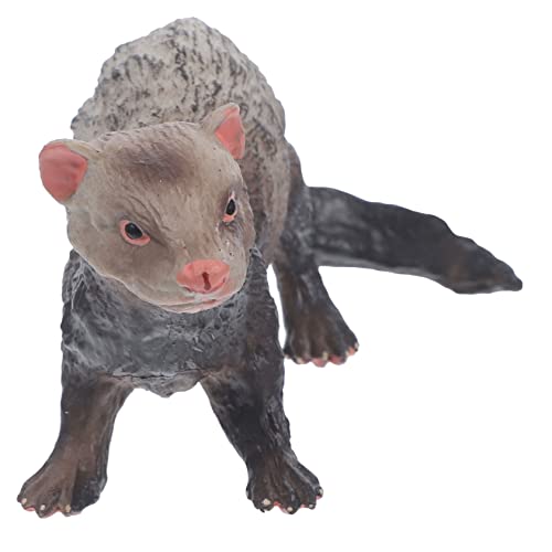 GARVALON Simulation Frettchen Figurine Wildes Tiermodell für Kognitives für Bildung Dekoration Schulprojekte GARVALON Simulation Frettchen Figurine Wildes Tiermodell für Kognitives für Bildung Dekoration Schulprojekte von GARVALON