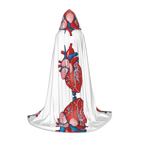 GBMBZSKP (Human Anatomy Heart Chart) Halloween Kapuzenumhang Hexenhut für Jungen Mädchen Kinder, 85–134 cm Kapuzenumhang Halloween Vampire Kostüm Cosplay Ostern Maskerade Party von GBMBZSKP
