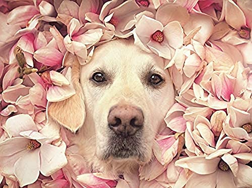 12000 Pieces of Puzzles for Adult and Adolescent Fun Dogs, Each Piece is a Challenging Decompression Fun Puzzle70x100cm Gi122 12000 Pieces of Puzzles for Adult and Adolescent Fun Dogs, Each Piece is a Challenging Decompression Fun Puzzle70x100cm Gi122 von GDFWB