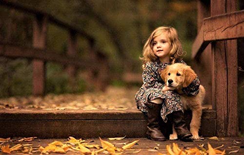 2000 Piece Jigsaw Puzzle for Adults Kids Adult Jigsaw Puzzles Educational Games DIY Toy 70x100cm Gi285 2000 Piece Jigsaw Puzzle for Adults Kids Adult Jigsaw Puzzles Educational Games DIY Toy 70x100cm Gi285 von GDFWB