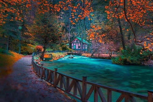2000 Pieces Funny Puzzles, Autumn Landscape Bosnia Park Sarajevo Adults Cardboard Puzzle Picture, Girls Room Home Wall Decor Mural 70x100cm Gi343 von GDFWB