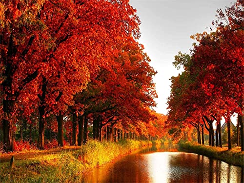 2000 Pieces Paper Jigsaw Puzzles Educational Game Stress Reliever for Adult Kids - Fires from Autumn Fire70x100cm Gi446 2000 Pieces Paper Jigsaw Puzzles Educational Game Stress Reliever for Adult Kids - Fires from Autumn Fire70x100cm Gi446 von GDFWB
