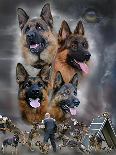 Adoff Adults 2000 Pieces German Shepherd Dog Puzzle Jigsaw Puzzles for Kids Adult Large Puzzle Game70x100cm Gi163 von GDFWB
