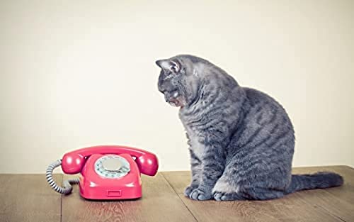 Jigsaw 1000 Piece Cat Waiting for Phone Puzzles Impossible Jigsaw for Adults and Kids,Kids Educational Game Toys Home Travel26x38cm Gi010 Jigsaw 1000 Piece Cat Waiting for Phone Puzzles Impossible Jigsaw for Adults and Kids,Kids Educational Game Toys Home Travel26x38cm Gi010 von GDFWB