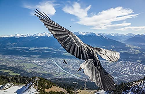 Jigsaw 2000 Piece Alpine Aerial Eagle Puzzles Impossible Jigsaw for Adults and Kids,for Birthday Thanksgiving70x100cm Gi160 Jigsaw 2000 Piece Alpine Aerial Eagle Puzzles Impossible Jigsaw for Adults and Kids,for Birthday Thanksgiving70x100cm Gi160 von GDFWB