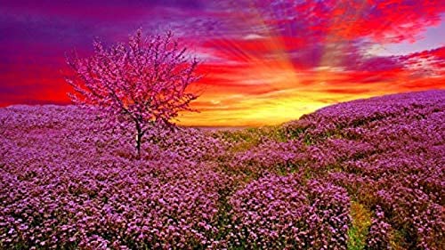 Jigsaw 2000 Piece Sunrise Flower Field Puzzles Impossible Jigsaw for Adults and Kids,for Birthday Thanksgiving70x100cm Gi204 Jigsaw 2000 Piece Sunrise Flower Field Puzzles Impossible Jigsaw for Adults and Kids,for Birthday Thanksgiving70x100cm Gi204 von GDFWB