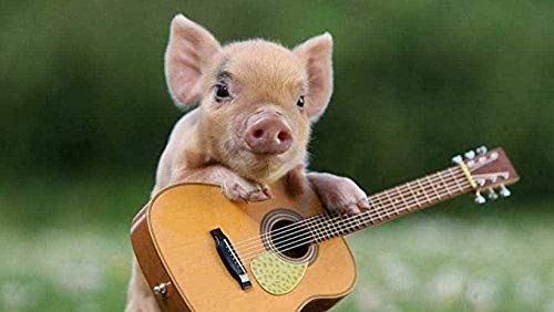 Jigsaw Puzzle 1000 Pieces Classic Puzzle Challenge Educational Game Toy Pet Pig Playing Guitar Teenagers50x70cm Gi286 von GDFWB