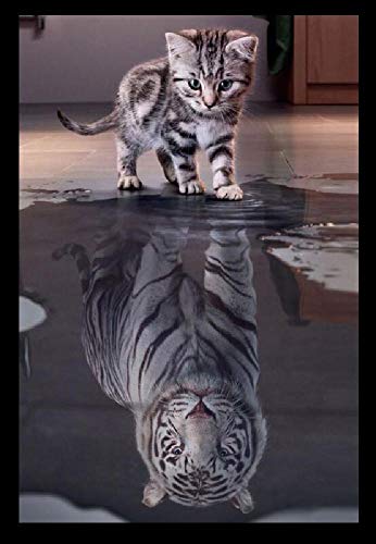 Jigsaw Puzzle 2000 Piece 3D DIY Adult Games Cat Tiger Paper Jigsaw Animal Fruit Collection Landscape Children Old People Home Decoration Puzzle Game 70x100cm Gi135 Jigsaw Puzzle 2000 Piece 3D DIY Adult Games Cat Tiger Paper Jigsaw Animal Fruit Collection Landscape Children Old People Home Decoration Puzzle Game 70x100cm Gi135 von GDFWB