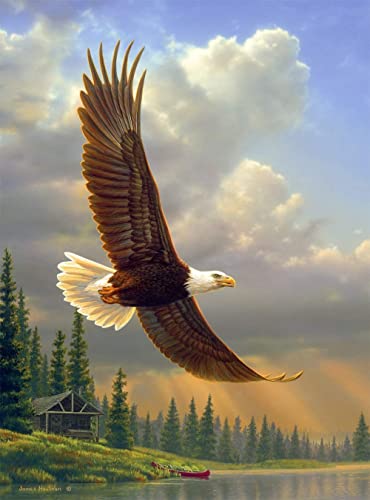 Jigsaw Puzzle Game Uncompress Dolls Sea Eagle Jigsaw Puzzle Game for Adults and Children 70x100cm Gi374 von GDFWB