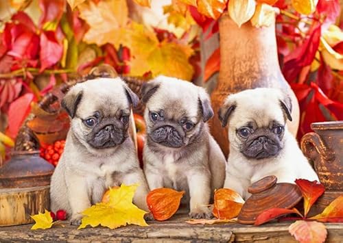 Jigsaw Puzzles 1000 Pieces Animal Dog Poster Puzzles Educational Toy for Adults Kn227 38x52cm Jigsaw Puzzles 1000 Pieces Animal Dog Poster Puzzles Educational Toy for Adults Kn227 38x52cm von GDFWB