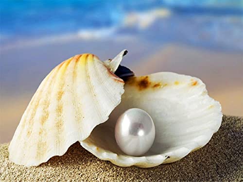 Jigsaw Puzzles 2000 Pieces for Adults,The Ocean Shell and Pearl Landscape Picture Educational Game Paper Puzzle for Children, Home Art Decoration and,70x100cm Gi488 Jigsaw Puzzles 2000 Pieces for Adults,The Ocean Shell and Pearl Landscape Picture Educational Game Paper Puzzle for Children, Home Art Decoration and,70x100cm Gi488 von GDFWB