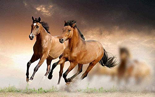 Jigsaws Puzzles 2000 Pieces for Adults, Paper Decompression Puzzle-Running Horse -DIY Puzzlesword Game Toys70x100cm Gi069 Jigsaws Puzzles 2000 Pieces for Adults, Paper Decompression Puzzle-Running Horse -DIY Puzzlesword Game Toys70x100cm Gi069 von GDFWB
