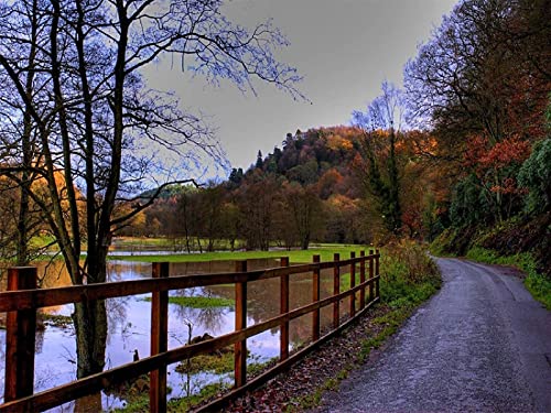 Paper Adult Puzzle 2000 Pieces Paper Fence Lines The Road Near The Water Home Art Deco Game Educational70x100cm Gi429 Paper Adult Puzzle 2000 Pieces Paper Fence Lines The Road Near The Water Home Art Deco Game Educational70x100cm Gi429 von GDFWB