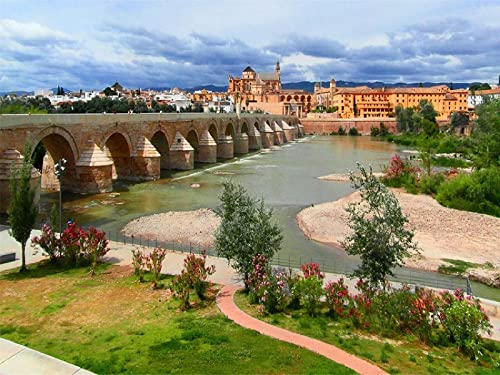 Paper Jigsaw Puzzle 2000 Piece Cordoba Andalucia Spain Home Decorations and70x100cm Gi440 Paper Jigsaw Puzzle 2000 Piece Cordoba Andalucia Spain Home Decorations and70x100cm Gi440 von GDFWB