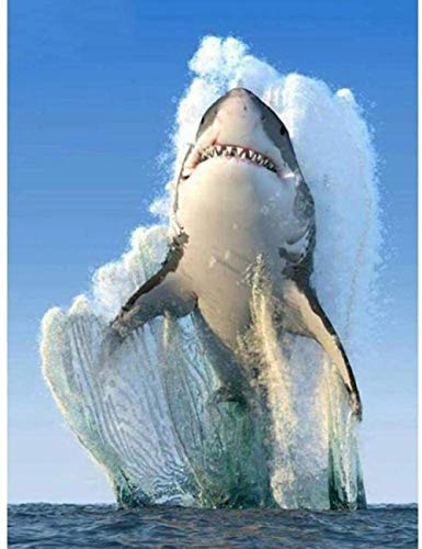 Personalised Puzzles for Adults Kids 1000 Pieces, Educational Toys Paper Puzzle Shark DIY Creative Home Decor 26x38cm Gi026 Personalised Puzzles for Adults Kids 1000 Pieces, Educational Toys Paper Puzzle Shark DIY Creative Home Decor 26x38cm Gi026 von GDFWB