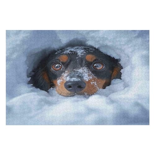 Puzzle Dachshund 1000 Teile, Puzzle Für Erwachsene, Kinder, Jungen, Mädchen, Jugendliche 1000 PCS 50 * 70cm von GDFWB