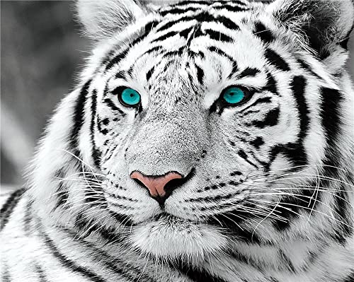 Puzzle Decompression Game for Adults and Children Tiger Puzzle Poster Doll 1000Pieces26x38cm Gi094 von GDFWB