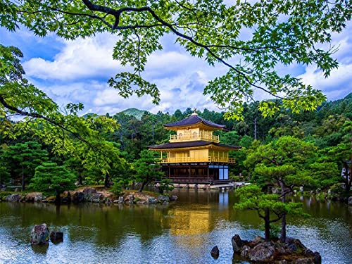 Puzzle for Grown Ups 1000 Piece for Adults,Kinkaku Ji Temple Paper Assemdecoration for The Home Toy Game Gift26x38cm Gi469 von GDFWB