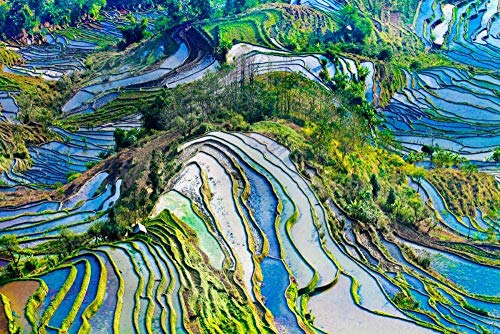 Puzzles Paper Jigsaw Puzzles 2000 Pieces, Landscape Map Kids Puzzle Toy, DIY Stress Reliever Gift 70x100cm Gi277 Puzzles Paper Jigsaw Puzzles 2000 Pieces, Landscape Map Kids Puzzle Toy, DIY Stress Reliever Gift 70x100cm Gi277 von GDFWB