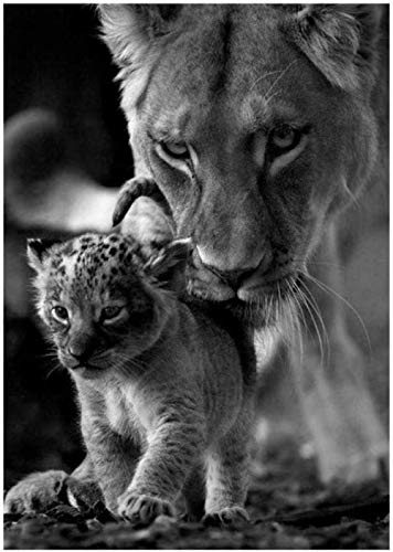 Puzzles Puzzles for Adults 1000 Piece Animal Lioness and Cub Puzzle Paper Jigsaws Very Challenging Casual Jigsaw 26x38cm Gi043 Puzzles Puzzles for Adults 1000 Piece Animal Lioness and Cub Puzzle Paper Jigsaws Very Challenging Casual Jigsaw 26x38cm Gi043 von GDFWB